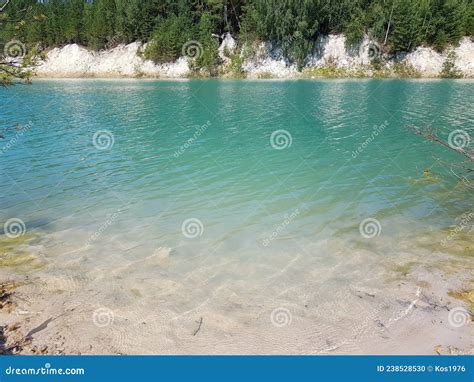 Trees Grow On The Shores Of A Turquoise Lake Stock Photo Image Of