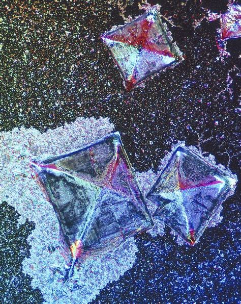 Salt Crystal Light Micrograph Photograph By Science Photo Library