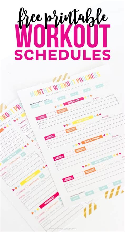 23 Of The Best Organization Printables Laptrinhx