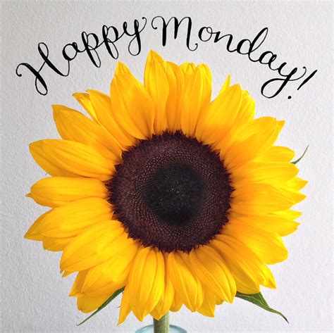 Happy Monday Alexandra Snowdon Flickr