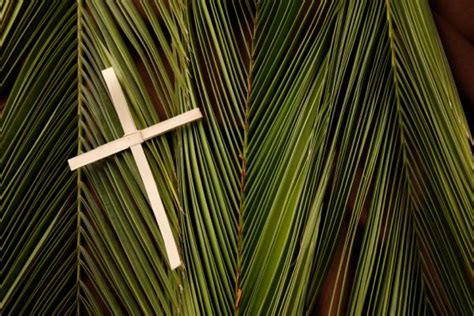 Today Is Palm Sunday Religion Nigeria