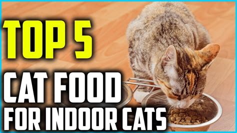 Before we look at good cat food for indoor cats, it's important to note that environmental enrichment is key to an indoor cat's well being. Top 5 Best Cat Food for Indoor Cats in 2021 - YouTube