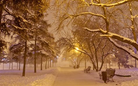 Wallpaper Sunlight Trees Landscape Forest Nature Sky Snow