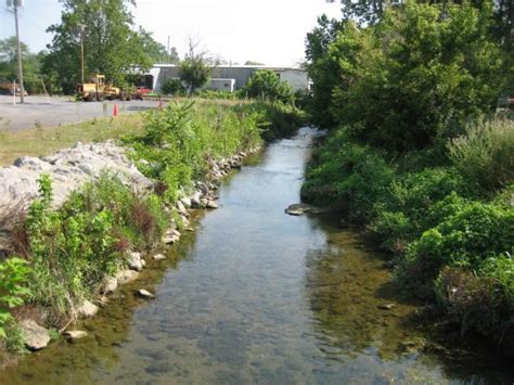 Stream Bank And Buffer Improvements At Public Works City Of