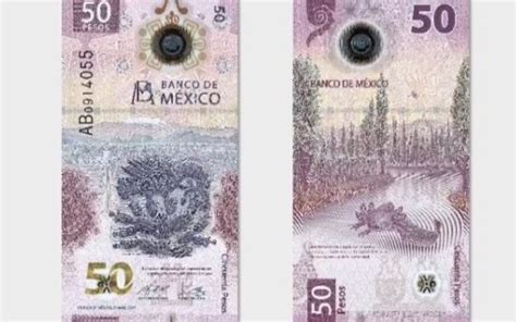 Banxico Presenta El Nuevo Billete De Pesos Diario Basta