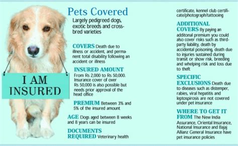 Find the best pet insurance for your state. Best pet Insurance in America: Simple Guidelines