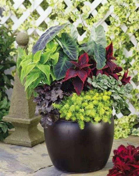 Astounding Make Your Home Beautiful With Stunning Container Garden