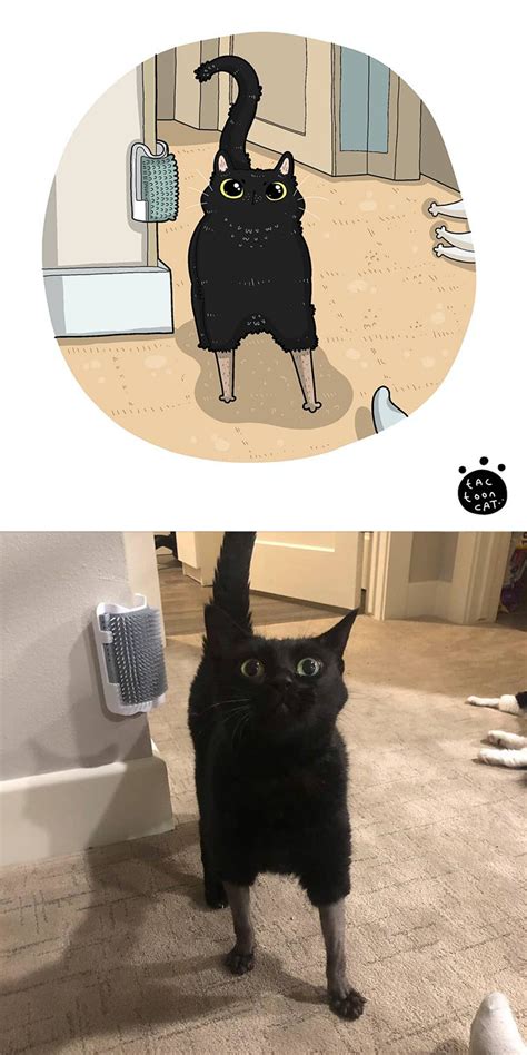 Indonesian Artist Turns Viral Cat Photos Into Funny Illustrations 20