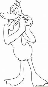 Duck Daffy Funny Coloring Looking Pages Cartoon Coloringpages101 Color sketch template