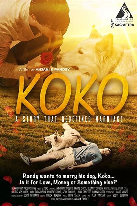 Koko The Movie Database Tmdb
