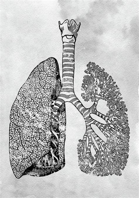 Lungs Art X By Erzebet S In 2021 Lungs Art Art Anatomy Art