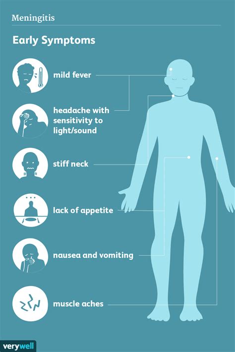 Hirnhautentzündung Anzeichen Symptome Und Komplikationen