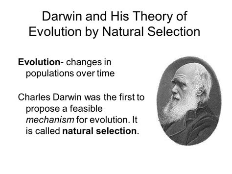 40 Best Collections Charles Darwin Evolution Of Man Ppt Creative