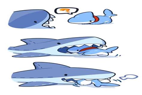 Chi Tiết 87 Về Hình Nền Máy Tính Cá Mập Cute Hay Nhất Vn