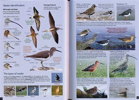 This product hasn't been rated yet. Britain's Birds: An Identification Guide to the Birds of ...