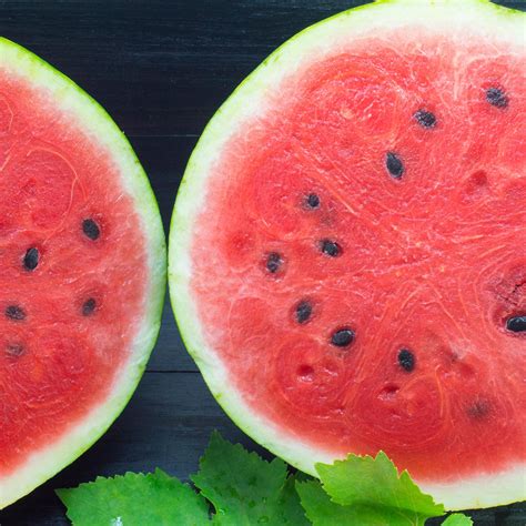 Moon And Stars Red Watermelon Citrullus Lanatus Annies Heirloom Seeds
