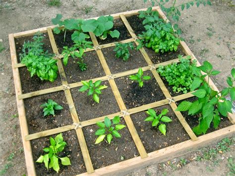 How To Plan A Square Foot Vegetable Garden The Easiest Way To Grow