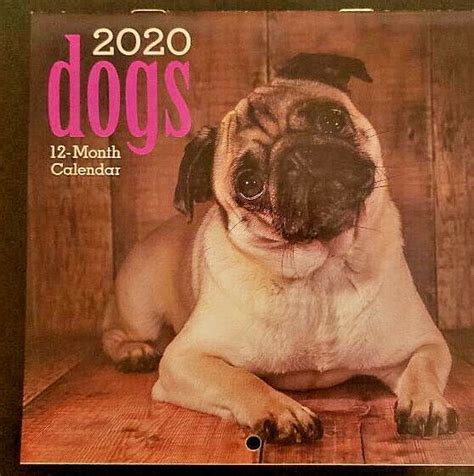 Mini Calendar Dogs 2020 Small Desk Wall Monthly Calendar Dogs W Trap
