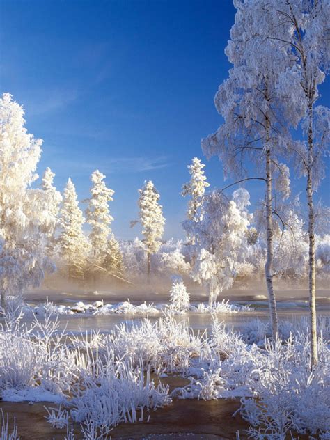 Free Download Hd Bing Winter Landscape Wallpaper 1920x1080 For Your Desktop Mobile And Tablet