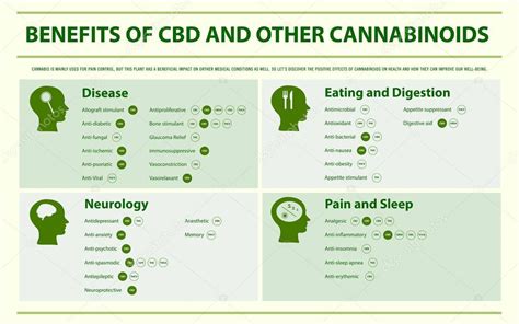 Beneficios del CBD y otros cannabinoides infografía horizontal