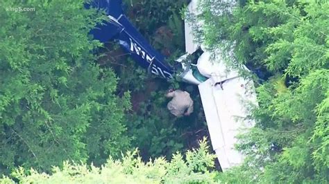 Person Steals Plane From Jefferson County Crashes It Near La Push