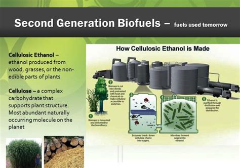 Provectus Biofuels