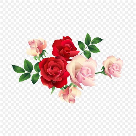 Beautiful Roses Vector Art Png Beautiful Rose Flower Vector Roses Clipart Free Vector Flower