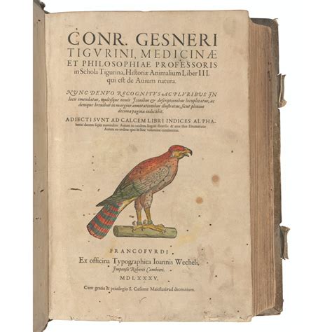 Gesner Conrad 1516 1565