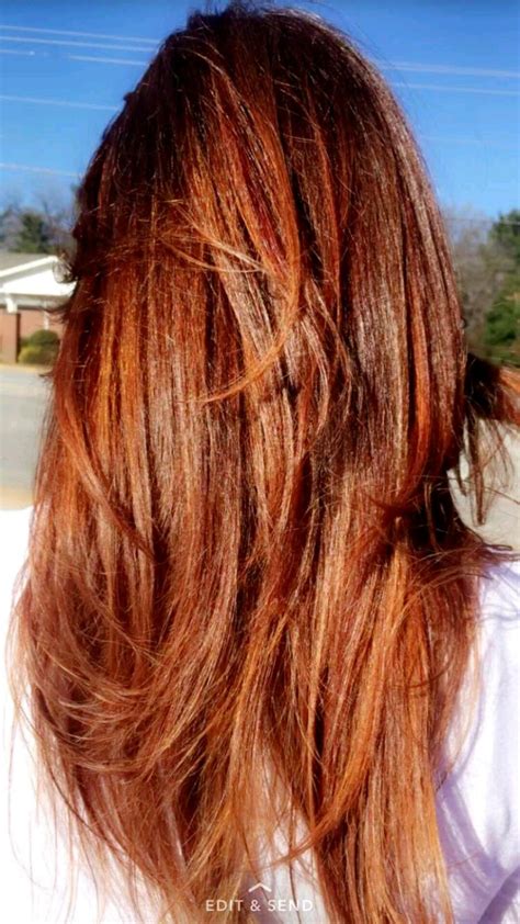 Stunning Auburn Hair With Copper Highlights