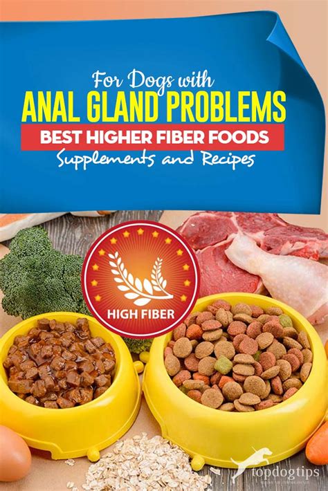 Blue buffalo wilderness chicken recipe. Best High Fiber Dog Food Anal Gland Problems, Supplements ...