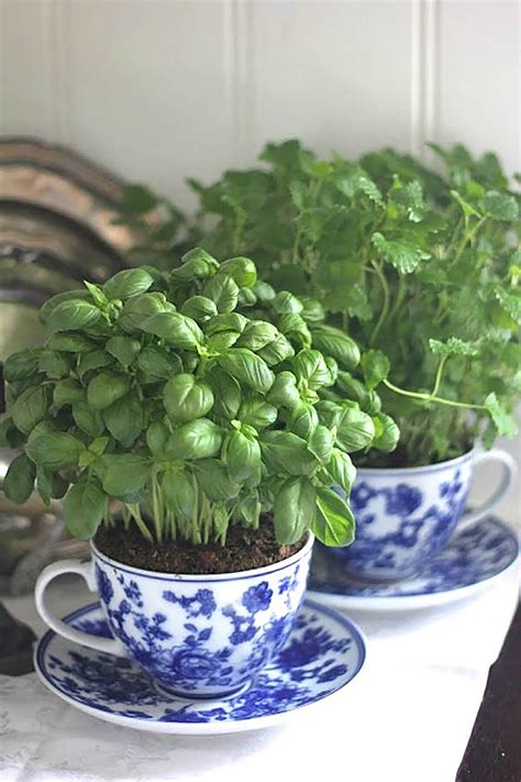 Check spelling or type a new query. 25 Best Herb Garden Ideas and Designs for 2021