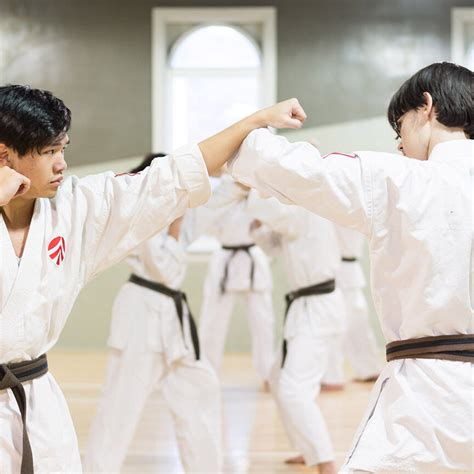 academy of martial arts in brampton karate jujutsu tai chi kobudo self defence in brampton
