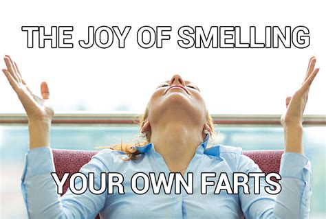 Funniest Fart Memes Farthub