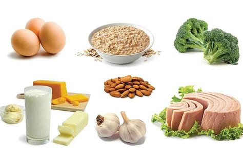10 High Protein Rich Foods And Role Of Protein In Weight Loss