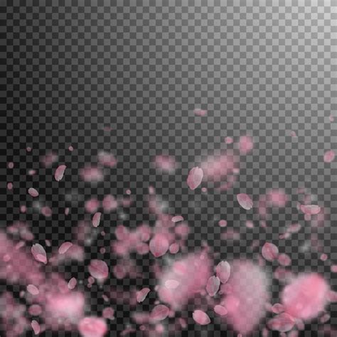 Premium Vector Sakura Petals Falling Down Romantic Pink Flowers