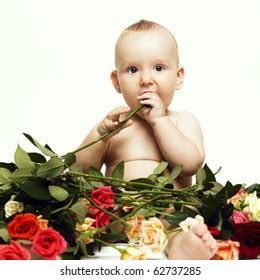 Charming Nude Boy Bright Roses Stock Photo Shutterstock