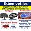 What Are Extremophiles Definition And Examples