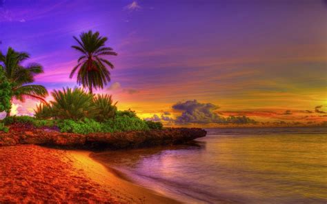 You can use tropical beach sunrise image hd as a desktop background, on your tablet or your smartphone device for free. 70+ Beach Sunrise Wallpaper on WallpaperSafari