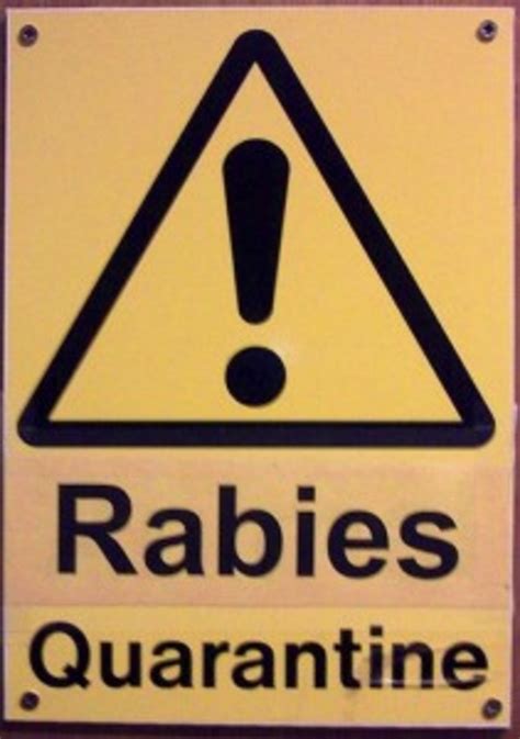 Who Knew Ten Key Facts About Rabies In Horses