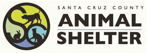 Adoption Specials On All Animals At Santa Cruz Animal Shelter Tpg