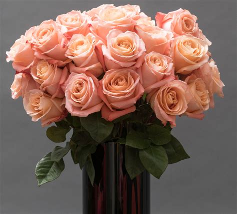 Bouquet De Roses De Couleur Rose Poudré Livraison De Roses En Express