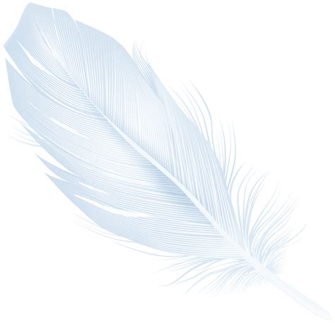 Feather Png Transparent Image