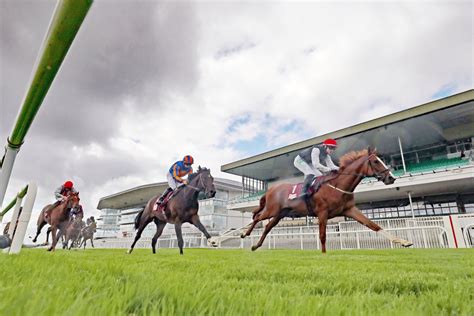 Galway Races Tips Betting Preview For Day 2 Of The Galway Festival