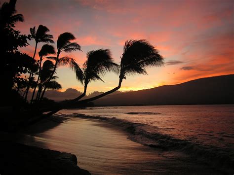Done Watch The Sunrise In Maui
