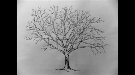 Pencil Drawing Tree Bestpencildrawing