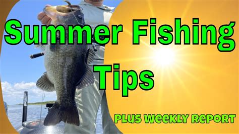 Summertime Bass Fishing Is Here Whats The Pattern Youtube