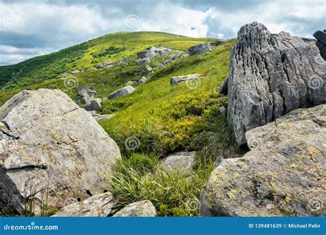 Rocks Among The Grass In Mountains Stock Image Image Of Place