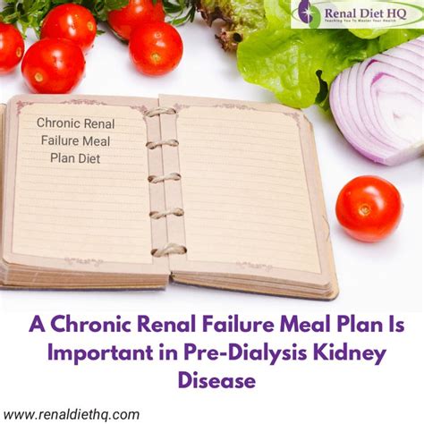 A Chronic Renal Failure Meal Plan Is Important In Pre Dialysis Kidney