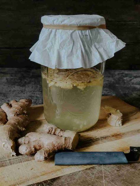 How To Make A Ginger Bug For Healthy Homemade Sodas The Outdoor