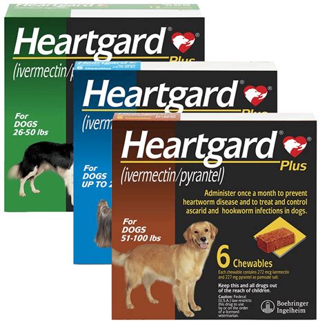 All dogs should be tested for heartworm infection before starting a preventive program. The Best Outdoor Dog Gear - Dog Activity Essentials ...